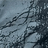 GRAY - [ROOTS digital print]